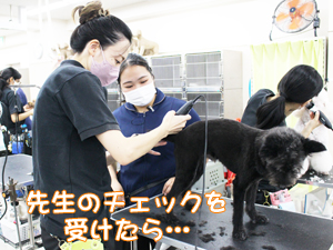 ２年生のトリミング実習♪